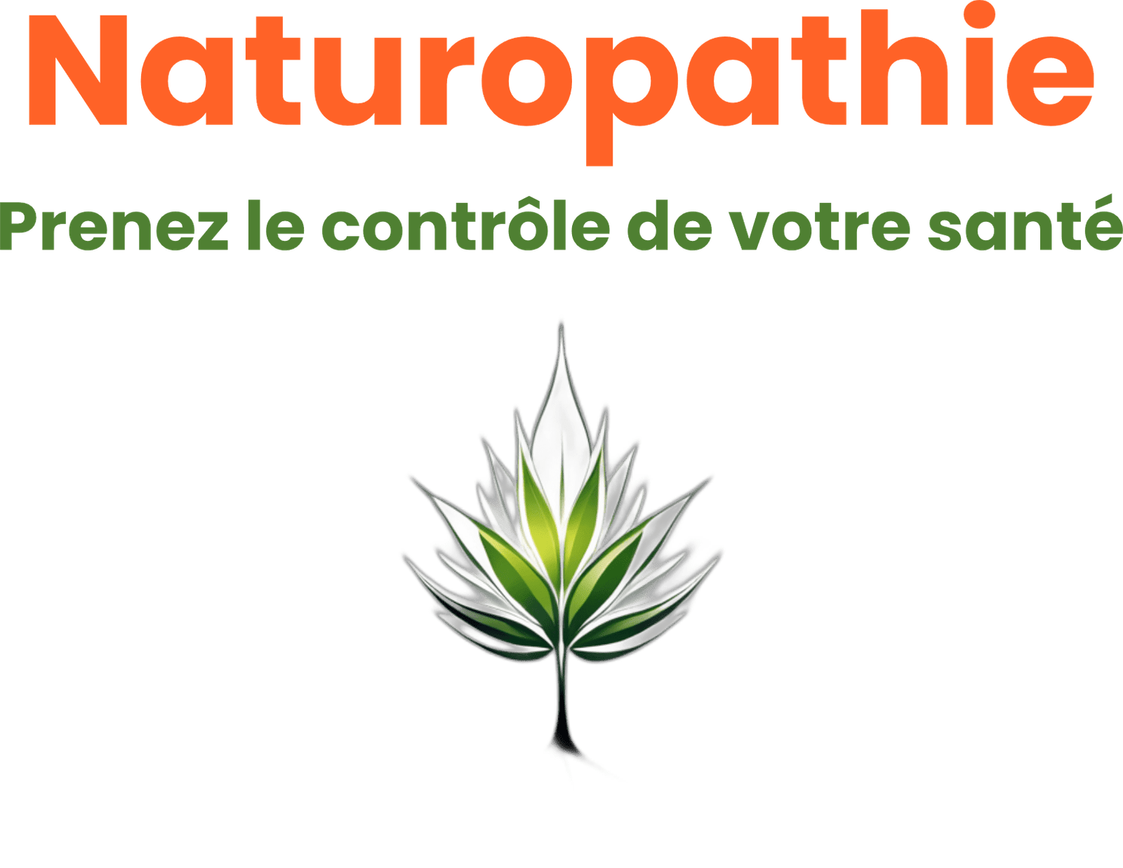logo prototype site naturopathe