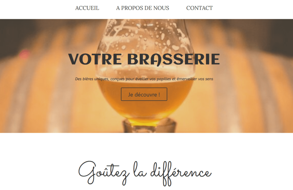 site vitrine vs site e-commerce
